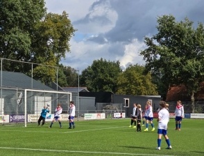 De grilligheden van de JO14