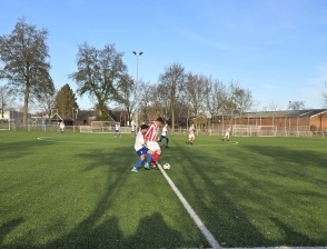 JO15 op de slachtbank