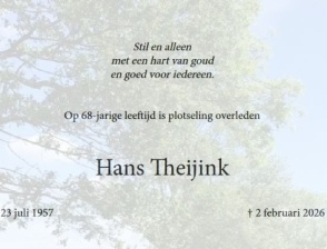 In Memoriam Hans Theijink